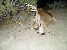 Monster Buck Unit 10