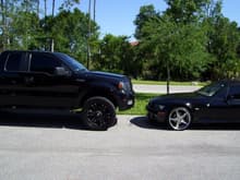 MY WHIPS 2008