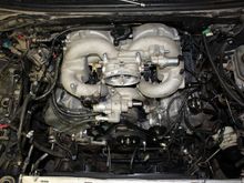 Test Fit from above