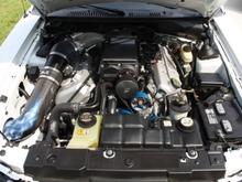 2004 Oxford White Cobra convertible