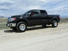 EB Lariat3