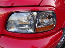 Left L Head Close Up