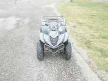 Custom painted grille
