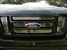 Stainless Grille