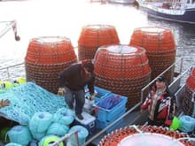 Getting ready for the 2008 Snow Crab Season