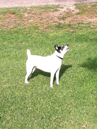 Maggie talking to a squirrel.