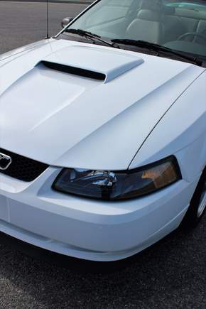 Hood Close-Up