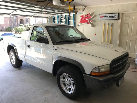 2002 Dodge Dakota during it’s first detail.