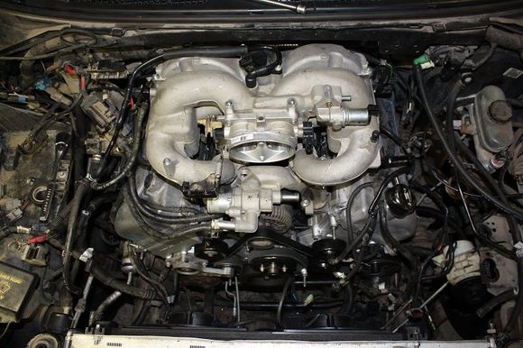 Test Fit from above