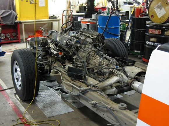 Head Gasket oil leak