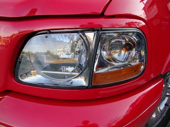 Left L Head Close Up