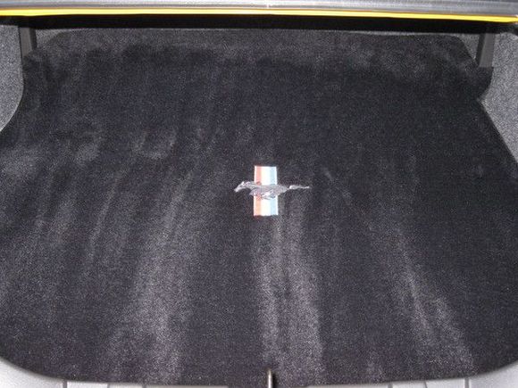 Running pony trunk mat.