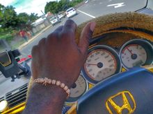 Daily Cruise
