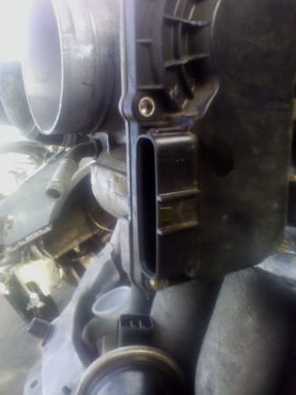 Six pin connector on throttle body
