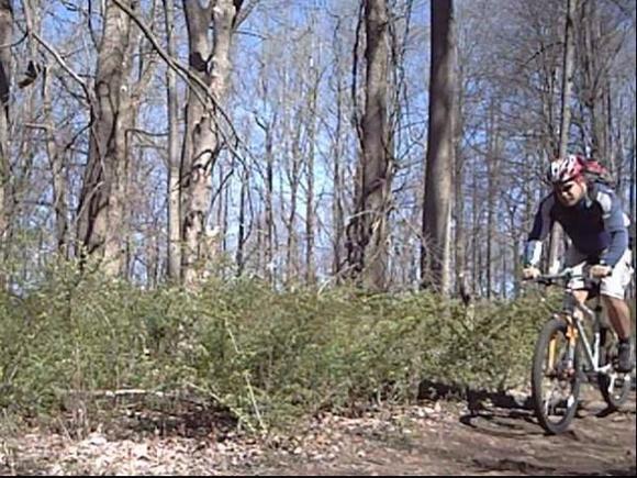 Mountain biking Lewis Morris.  I've ridden way past there on a road bike, but using the Fit to get to the trail left me some energy to ride in the woods...!