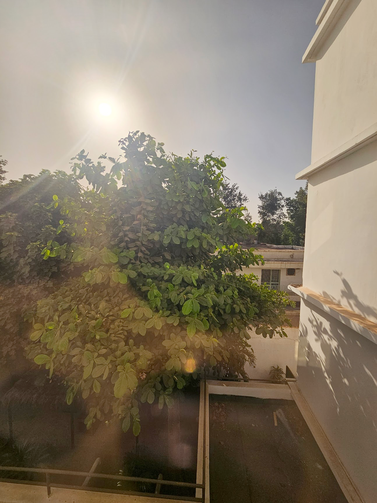 View from my room