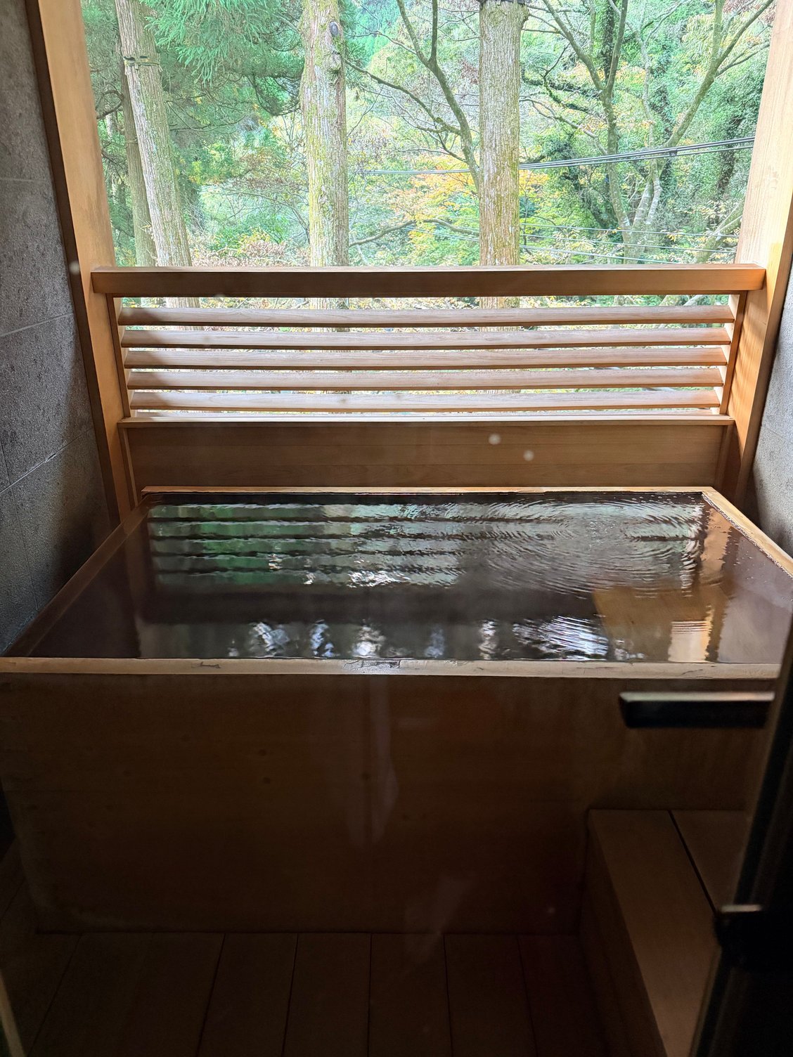 Onsen on balcony of the room.