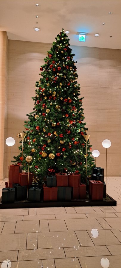 Christmas tree on ground floor entrance lobby by the elevator bank