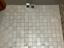 Shower floor