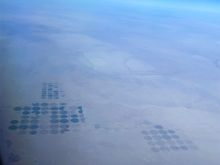 Crop circles 