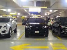 Premium Upgrade 1