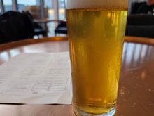 Welcome drink - Hobart Brewing Company beer