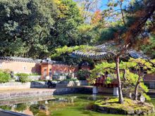 The korean garden  area