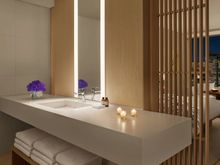 Deluxe Guest Bathroom