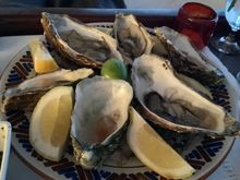 Oysters on the half shell