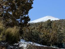 Wheeler Peak from the Great Basin visitor center
