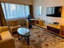 deluxe suite living area