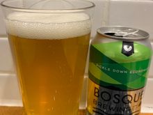 Bosque Pickledown Economics. Sour brewed with dill and pickle juice. Delicious in moderation. 