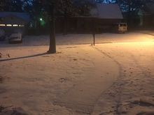 My front yard looking all pretty. Unfortunately there is ice under the snow.