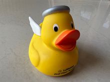 previous FCT Duck