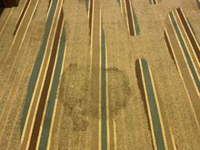 Filthy hallway carpeting