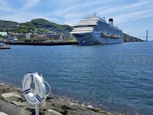 A large cruise ship  taken from the Nagasaki sea side park ( nice park and walking path). Glover garden to the left.  From my room at the hilton I could see the ship set sail in the evening. The next day another cruise ship docked ( Silversea ) but was smaller than this ship