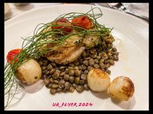 Pan seared Haddock 