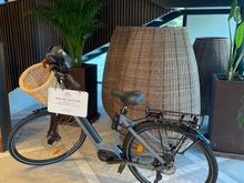Free electric bicycles 