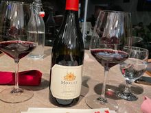 Morlet 2014 to celebrate V-day