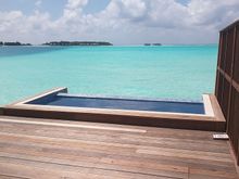 New pool