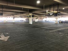 This is what the lot looked like when I arrived.