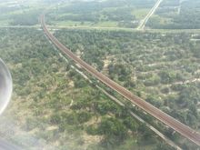 Someone said palm trees?