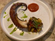 Octopus 