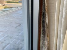 Mold at Doubletree Norfolk 