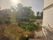 View from my room