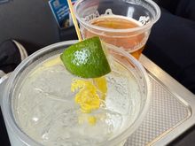 G & T for PDB 