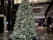 Ritz Carlton Hong Kong