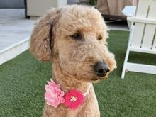 I think he must have been mesmerized by her bling from yesterday’s visit to the spa. 