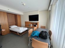 Living room - with a Murphy twin bed 