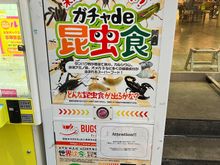 A insect vending machine in Asakusa, I did not try, so unsure if they were dead or alive. 

Best machine was the cheesecake one in Hakone, but the Chill Out drink saved my sanity in searing September heat and humidity. 